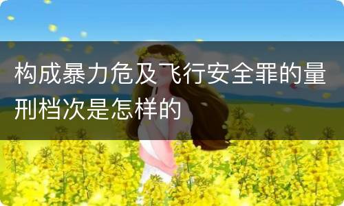 构成暴力危及飞行安全罪的量刑档次是怎样的