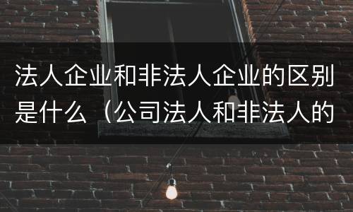 法人企业和非法人企业的区别是什么（公司法人和非法人的区别）