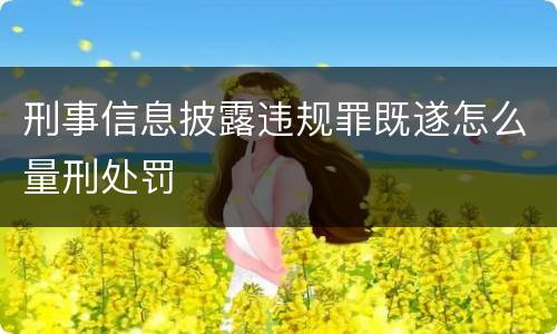 刑事信息披露违规罪既遂怎么量刑处罚