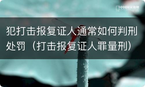 犯打击报复证人通常如何判刑处罚（打击报复证人罪量刑）
