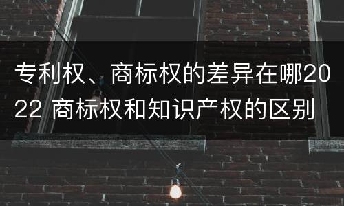 专利权、商标权的差异在哪2022 商标权和知识产权的区别