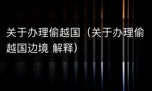 关于办理偷越国（关于办理偷越国边境 解释）
