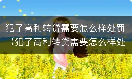 犯了高利转贷需要怎么样处罚（犯了高利转贷需要怎么样处罚他）