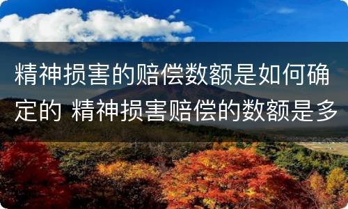 精神损害的赔偿数额是如何确定的 精神损害赔偿的数额是多少