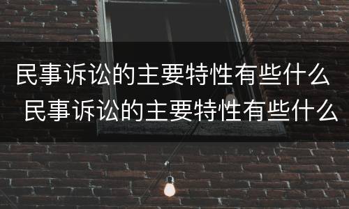民事诉讼的主要特性有些什么 民事诉讼的主要特性有些什么内容