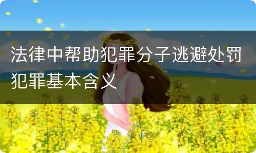 法律中帮助犯罪分子逃避处罚犯罪基本含义