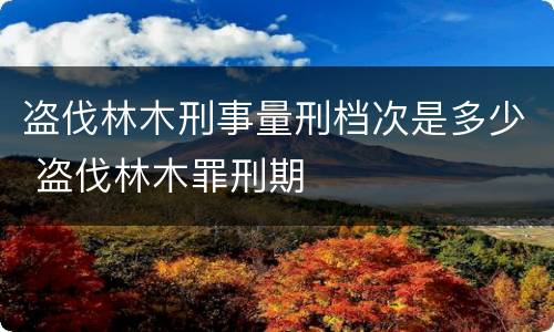 盗伐林木刑事量刑档次是多少 盗伐林木罪刑期