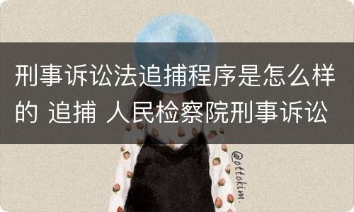 刑事诉讼法追捕程序是怎么样的 追捕 人民检察院刑事诉讼规则