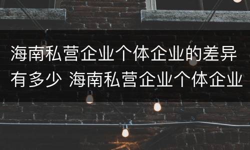 海南私营企业个体企业的差异有多少 海南私营企业个体企业的差异有多少个