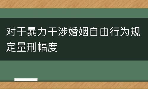 对于暴力干涉婚姻自由行为规定量刑幅度
