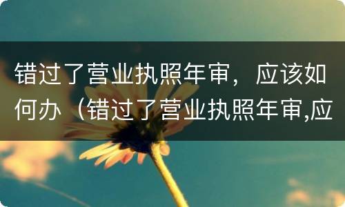 错过了营业执照年审，应该如何办（错过了营业执照年审,应该如何办理）