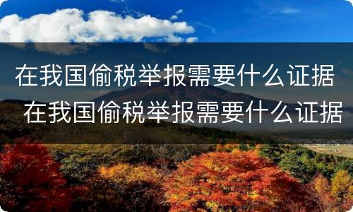 在我国偷税举报需要什么证据 在我国偷税举报需要什么证据材料