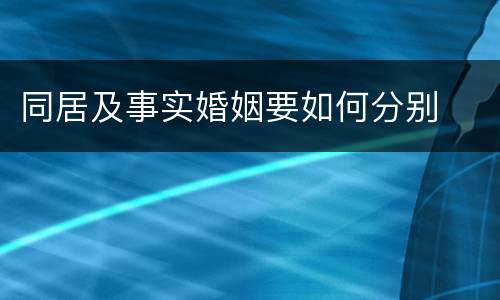 同居及事实婚姻要如何分别