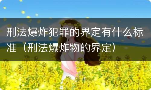 刑法爆炸犯罪的界定有什么标准（刑法爆炸物的界定）