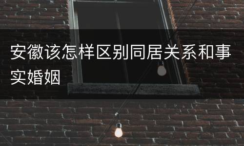 安徽该怎样区别同居关系和事实婚姻