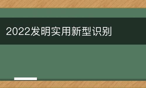 2022发明实用新型识别