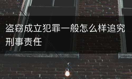 盗窃成立犯罪一般怎么样追究刑事责任