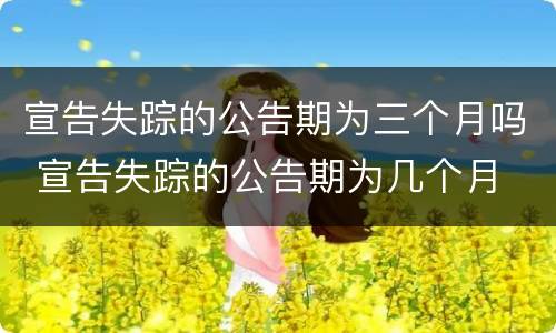 宣告失踪的公告期为三个月吗 宣告失踪的公告期为几个月