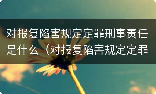对报复陷害规定定罪刑事责任是什么（对报复陷害规定定罪刑事责任是什么意思）