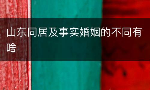 山东同居及事实婚姻的不同有啥