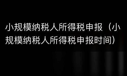 小规模纳税人所得税申报（小规模纳税人所得税申报时间）