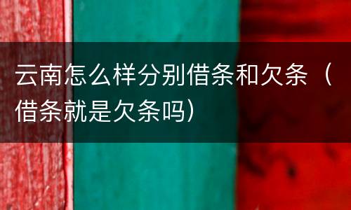 云南怎么样分别借条和欠条（借条就是欠条吗）