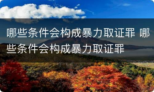 哪些条件会构成暴力取证罪 哪些条件会构成暴力取证罪