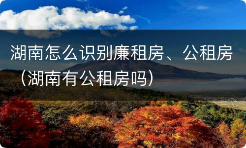 湖南怎么识别廉租房、公租房（湖南有公租房吗）
