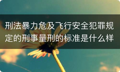 刑法暴力危及飞行安全犯罪规定的刑事量刑的标准是什么样的