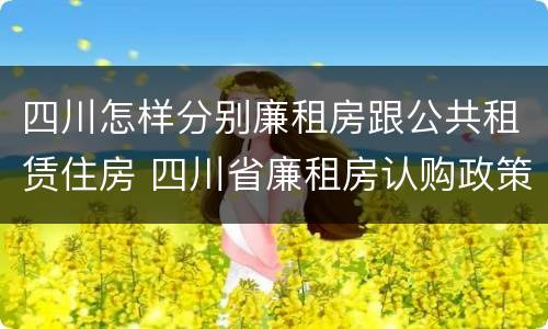 四川怎样分别廉租房跟公共租赁住房 四川省廉租房认购政策