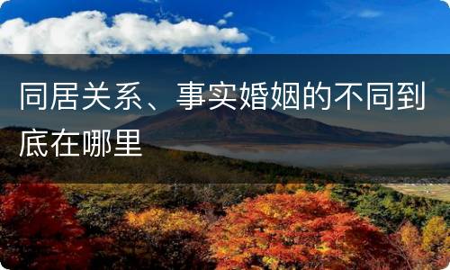 同居关系、事实婚姻的不同到底在哪里