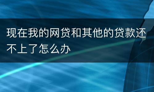 现在我的网贷和其他的贷款还不上了怎么办