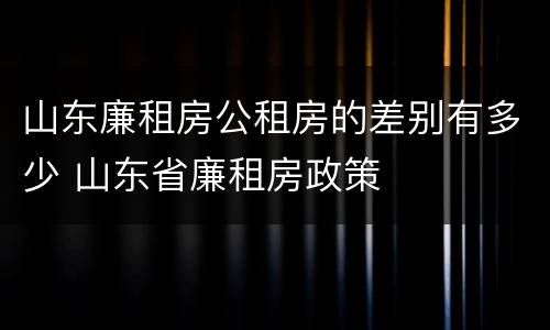 山东廉租房公租房的差别有多少 山东省廉租房政策