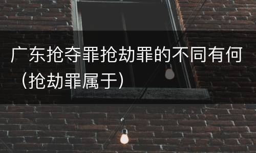 广东抢夺罪抢劫罪的不同有何（抢劫罪属于）
