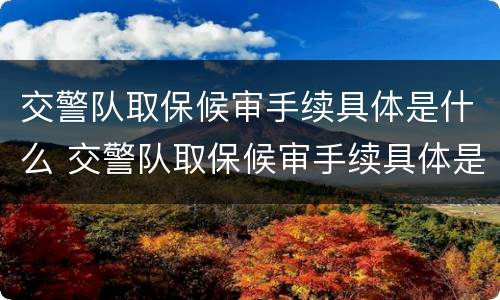 交警队取保候审手续具体是什么 交警队取保候审手续具体是什么时候办理