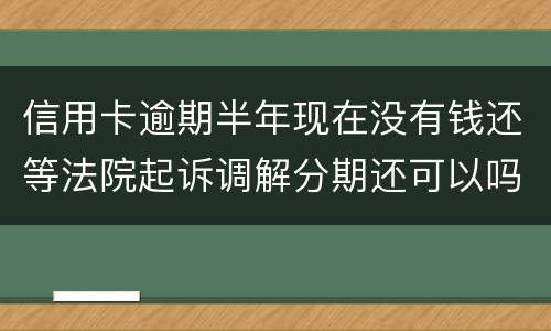 信用卡逾期半年现在没有钱还等法院起诉调解分期还可以吗