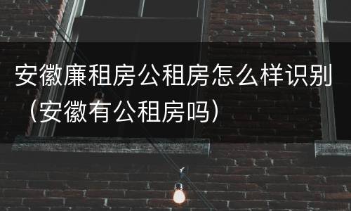 安徽廉租房公租房怎么样识别（安徽有公租房吗）