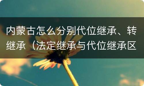 内蒙古怎么分别代位继承、转继承（法定继承与代位继承区别）