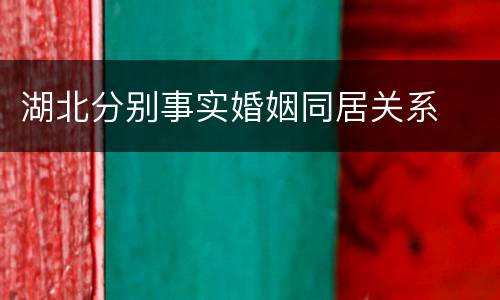 湖北分别事实婚姻同居关系