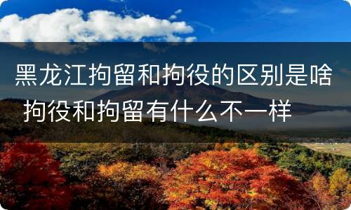 黑龙江拘留和拘役的区别是啥 拘役和拘留有什么不一样