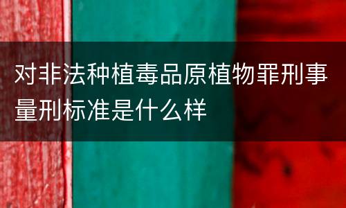 对非法种植毒品原植物罪刑事量刑标准是什么样