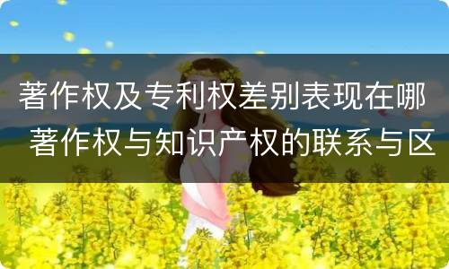 著作权及专利权差别表现在哪 著作权与知识产权的联系与区别