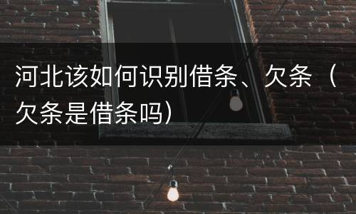 河北该如何识别借条、欠条（欠条是借条吗）