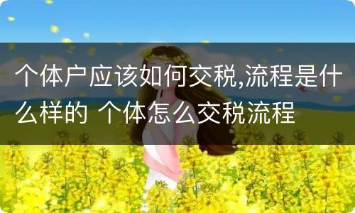 个体户应该如何交税,流程是什么样的 个体怎么交税流程