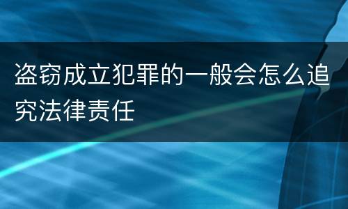 盗窃成立犯罪的一般会怎么追究法律责任