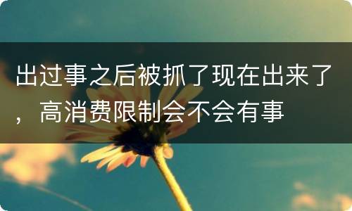 出过事之后被抓了现在出来了，高消费限制会不会有事