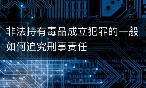 非法持有毒品成立犯罪的一般如何追究刑事责任