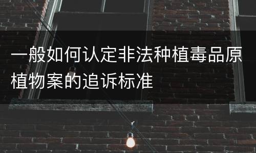 一般如何认定非法种植毒品原植物案的追诉标准