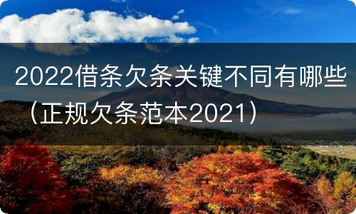 2022借条欠条关键不同有哪些（正规欠条范本2021）
