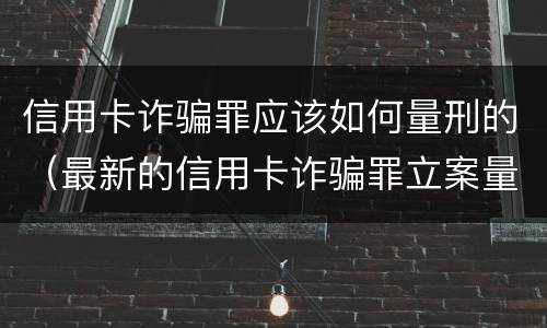 信用卡诈骗罪应该如何量刑的（最新的信用卡诈骗罪立案量刑标准）